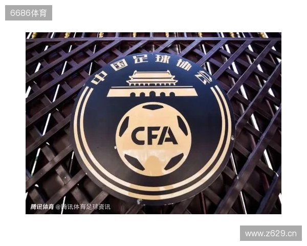 湖北法院:原泰达球员白某峰收华夏35万踢假球,判刑1年罚款10万