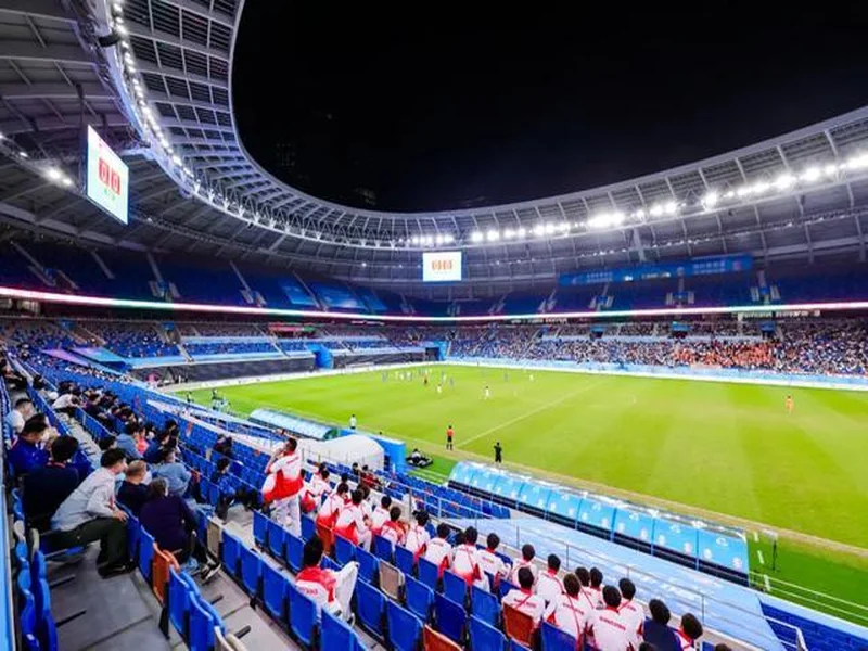 邮报：帕尔默有望战巴萨时复出，拉维亚将至少伤缺一个月