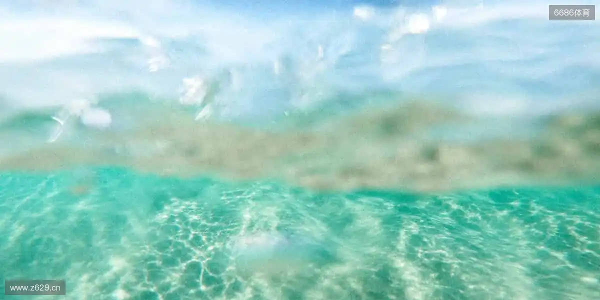 从现场到屏幕,从尖叫到欢呼!🌍🎥 我们始终与你的热爱同频共振!